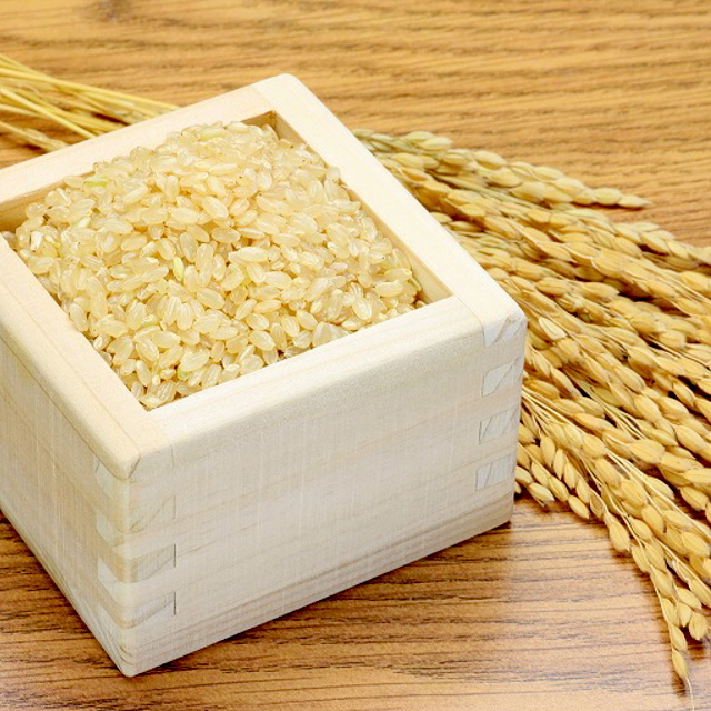 岩船産コシヒカリ（関川村産）玄米