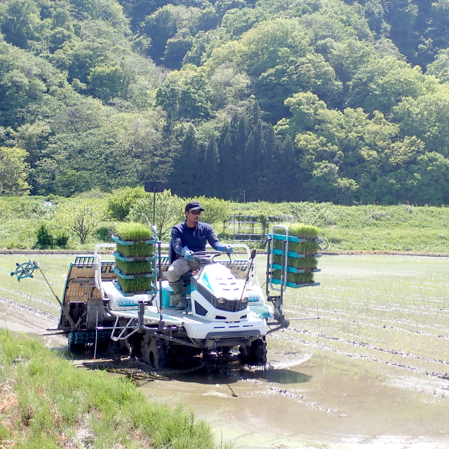 須貝吉衛