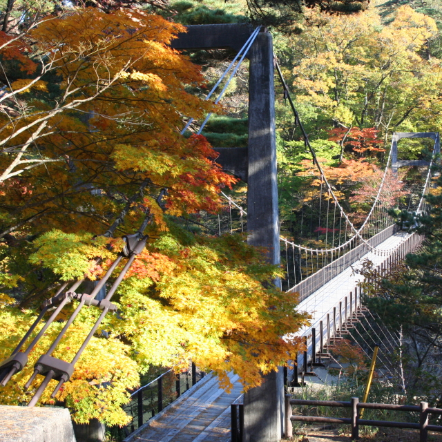 関川村の秋