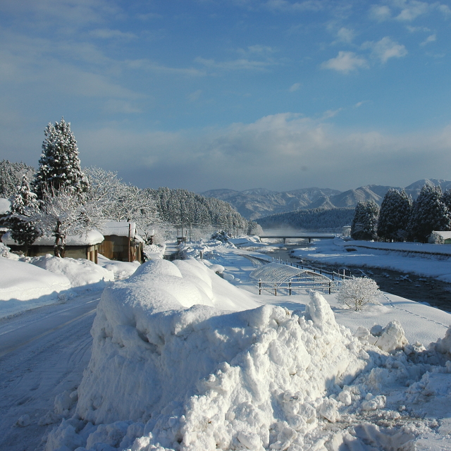 関川村の冬