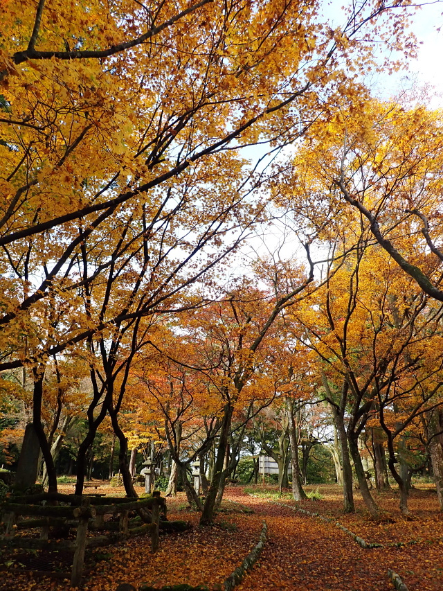 湯沢観音公園(湯沢温泉周辺) 2021.11.2