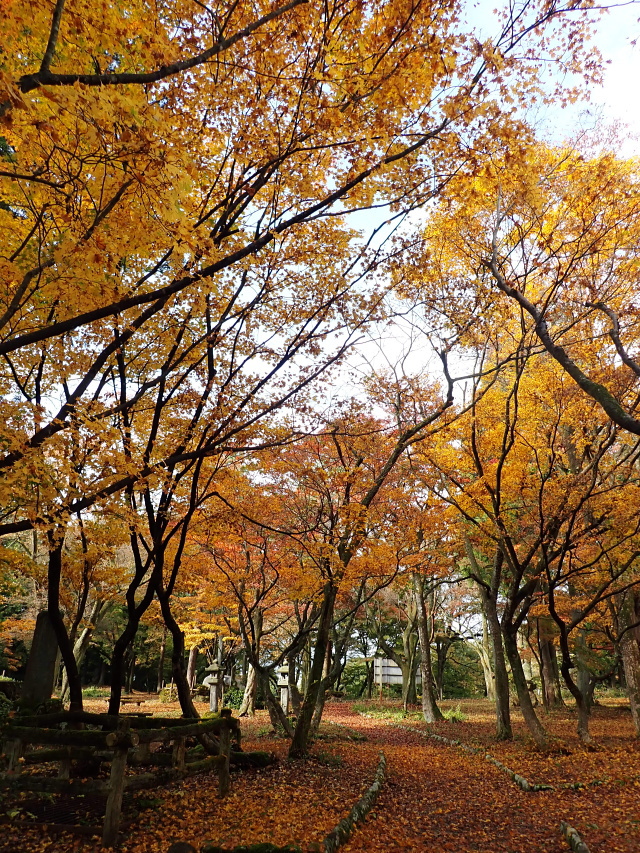 湯沢観音公園（湯沢温泉周辺） 2021.11.2