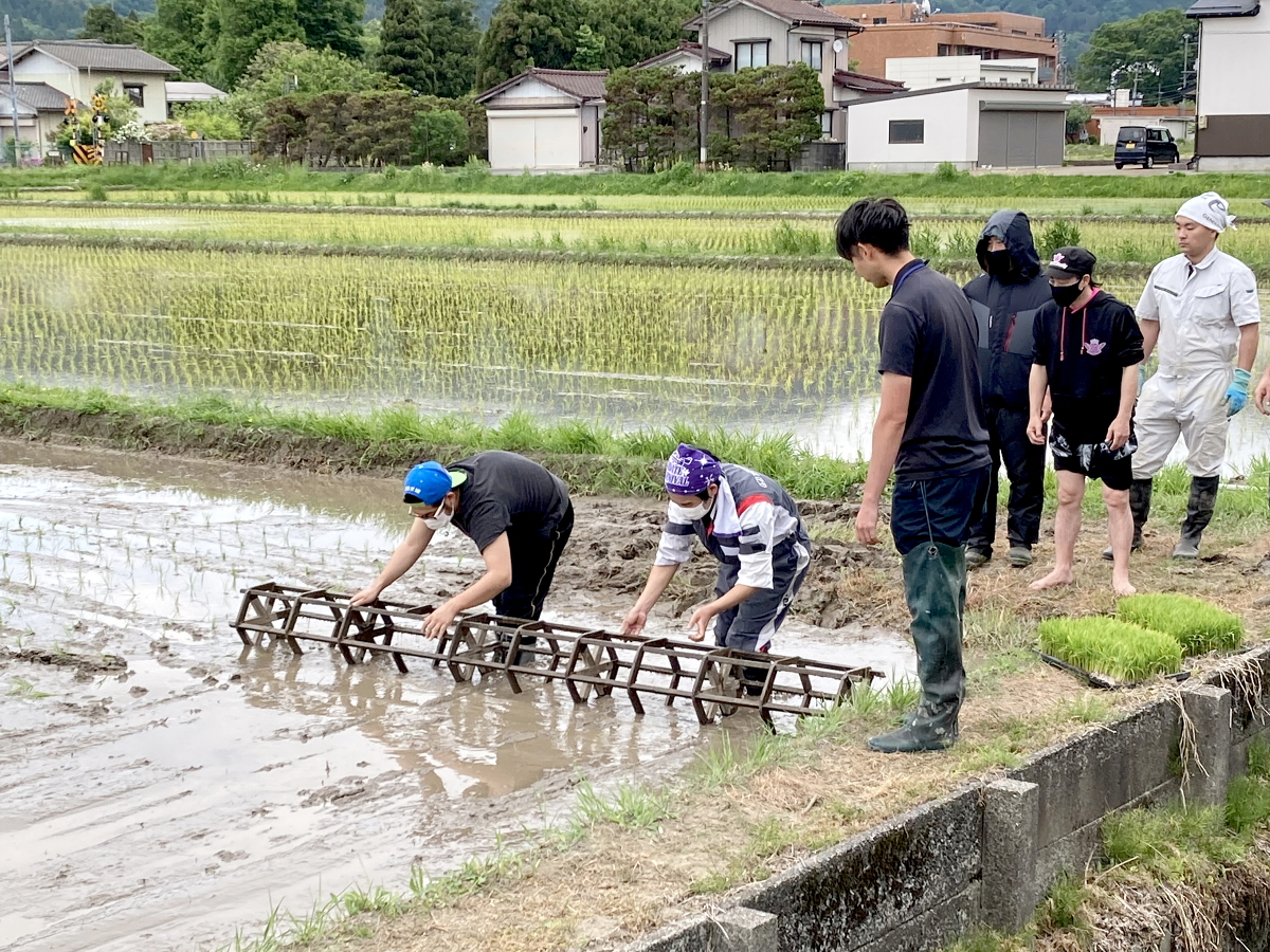 伊藤農園さんで田植え体験イベント 2022.5.22