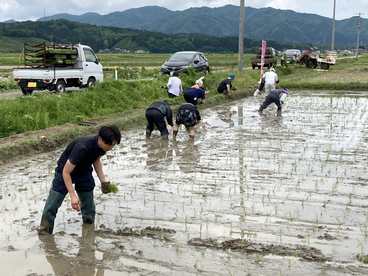 伊藤農園さんで田植え体験イベント 2022.5.22