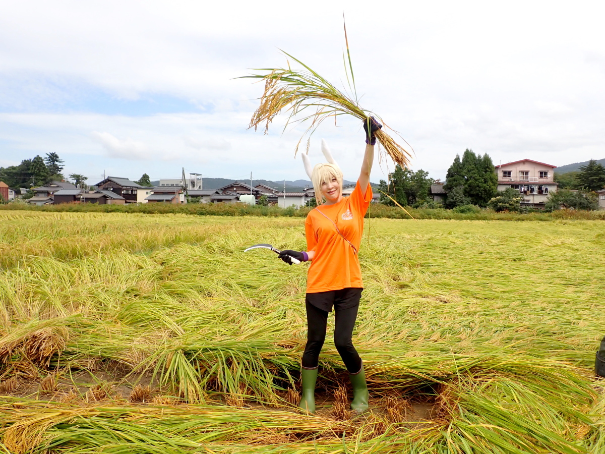 伊藤農園様で「収穫祭2022 稲刈り体験」が開催されました。 2022.9.10