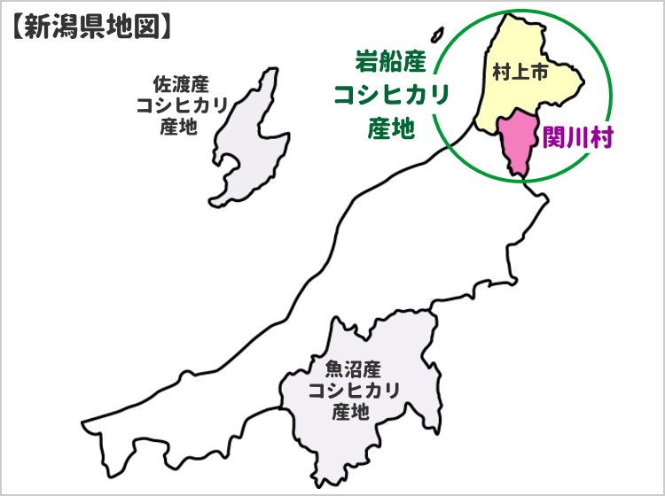 新潟県関川村の位置